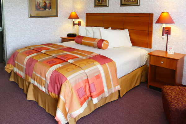 1 King Bed Non Smoking Photo 1